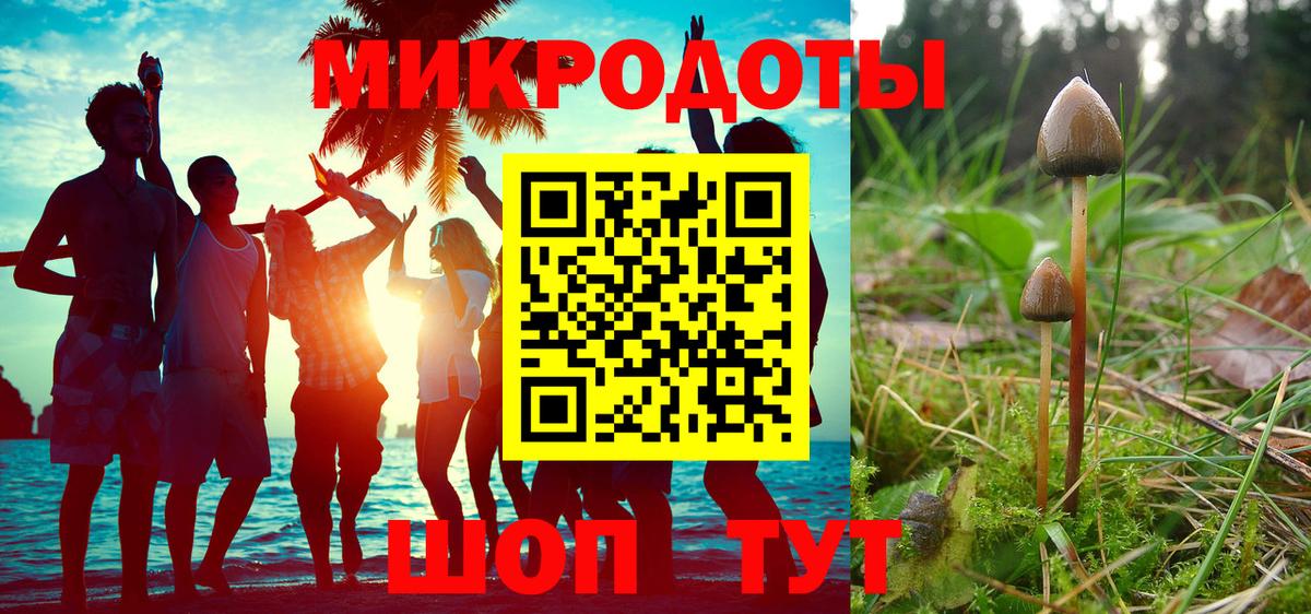 Псилоцибиновые грибы Psilocybe  Вход с VPN  Югорск 